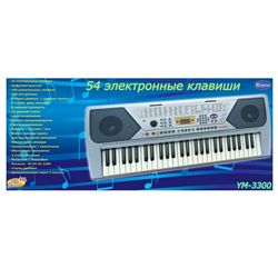 Синтезатор (пианино электронное), 54 клавиши, с микрофоном D-00011